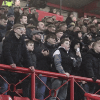 Happy Football GIF by MillwallFC