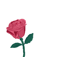 that_gypsy_angelina beauty flowers pretty boho Sticker