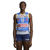 Volleyball Egonu Sticker by ImocoVolley