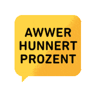 Saarland Saarbrucken Sticker by Saarmoji