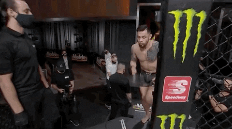 Sport Mma GIF by UFC