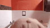 made it toilet GIF by Jason Mraz