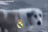 Real Madrid GIF