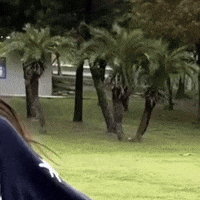 K Pop Peace GIF