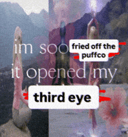 Peak Pivot GIF