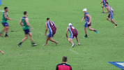 Ntl GIF by Touch Football Australia