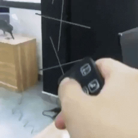 GifJungle giphyupload GIF