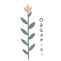 Flower Grow Sticker