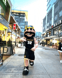 Mascot GIF by Idaho Vandals