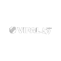 VipalBorrachas 50years vipal vipal50years Sticker