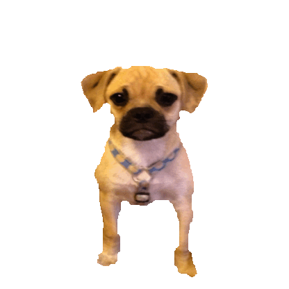 puggle STICKER by imoji