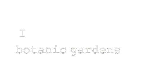 Botanical Sticker by Hortusamsterdam