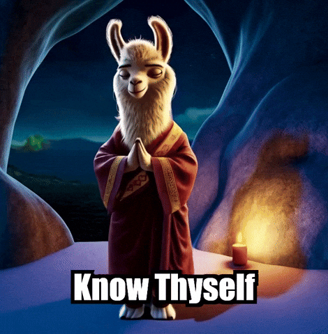 Know Thyself Self-Awareness GIF by dalaillamazen