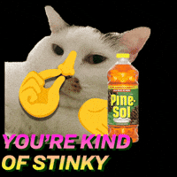 Stinky GIF by Pine-Sol