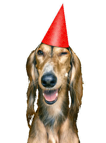 Sticker by Super zoo