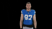 Nfl Celebrate GIF by Detroit Lions
