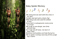 Animated Cards GIF