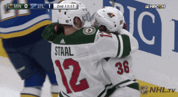 Minnesota Wild Goal Hug GIF by NHL