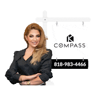 Maryam Ansari Sticker by Kourosh Kianijam - Compass