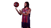 Liga Endesa Basketball Sticker by ACB