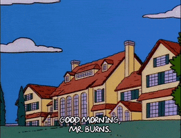 homer simpson GIF