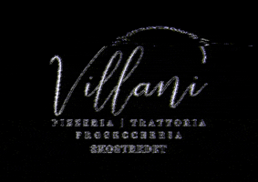 VillaniBergen villani GIF