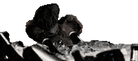 Steamboat Willie Terrifier Sticker by Signature Entertainment