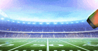jbl speakers football GIF by JBL Audio