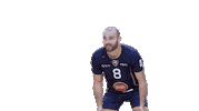 Volleyball Leray Sticker by Reims Volley 51