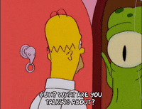 homer simpson GIF