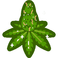 Food Cannabis Sticker by FarmBot