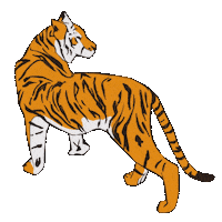Year Of The Tiger Art Sticker
