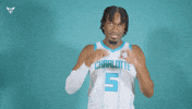 Hive Mentality Mark Williams GIF by Charlotte Hornets