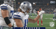 cole beasley football GIF by NFL