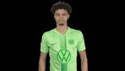 Bundesliga Changing GIF by VfL Wolfsburg