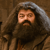 Winning Warner Bros GIF by Harry Potter