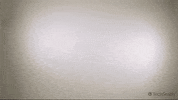 Fun Win GIF by TechSmith