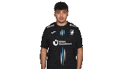 Tsg Hoffenheim Arms Sticker by Bundesliga
