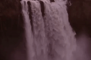 season 2 GIF by Twin Peaks on Showtime