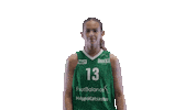 Sport Basketball Sticker by Basket_fi