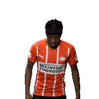 Football Celebrate Sticker by PSV