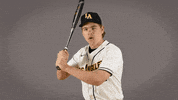 Cal State La Baseball GIF by Cal State LA Golden Eagles