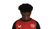 Look Up Bayer Leverkusen Sticker by Bundesliga