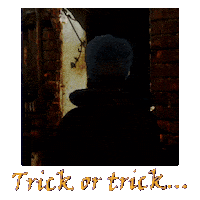 Trick Or Treat Halloween Sticker