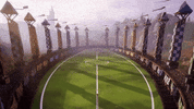 Harry Potter Costume GIF