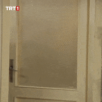 Özlem Tokaslan Kim GIF by TRT