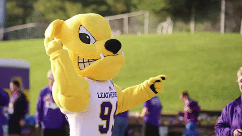 football success GIF by Western Illinois University