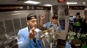 Happy Mls Cup GIF by NYCFC