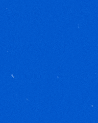 riverhawknation ncaa river hawks america east uml GIF