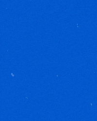 riverhawknation ncaa river hawks america east uml GIF